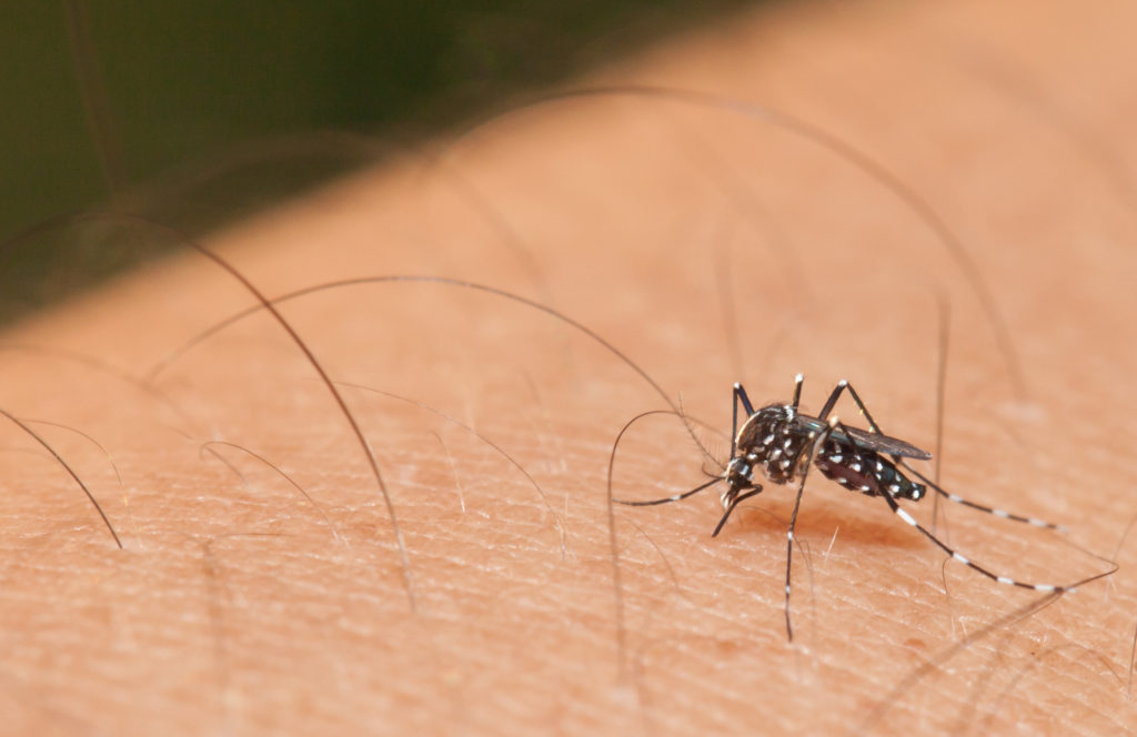 Delaware County PA Mosquito Control
